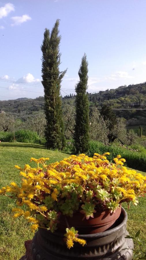podere Sanlorenzo Carmignano Esterno foto